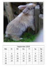 September_Kaninchen_2.pdf